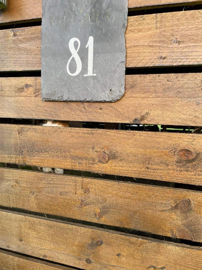 Caravan Rabbit House No 81 At Three Lochs Holiday Park Newton Stewart Ngoại thất bức ảnh